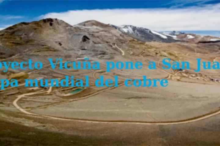 Proyecto Vicuña San Juan