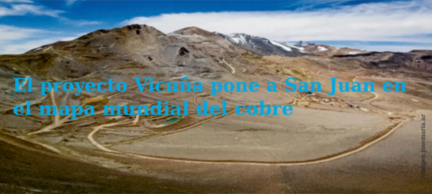 Proyecto Vicuña San Juan