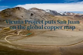 Vicuña Project San Juan