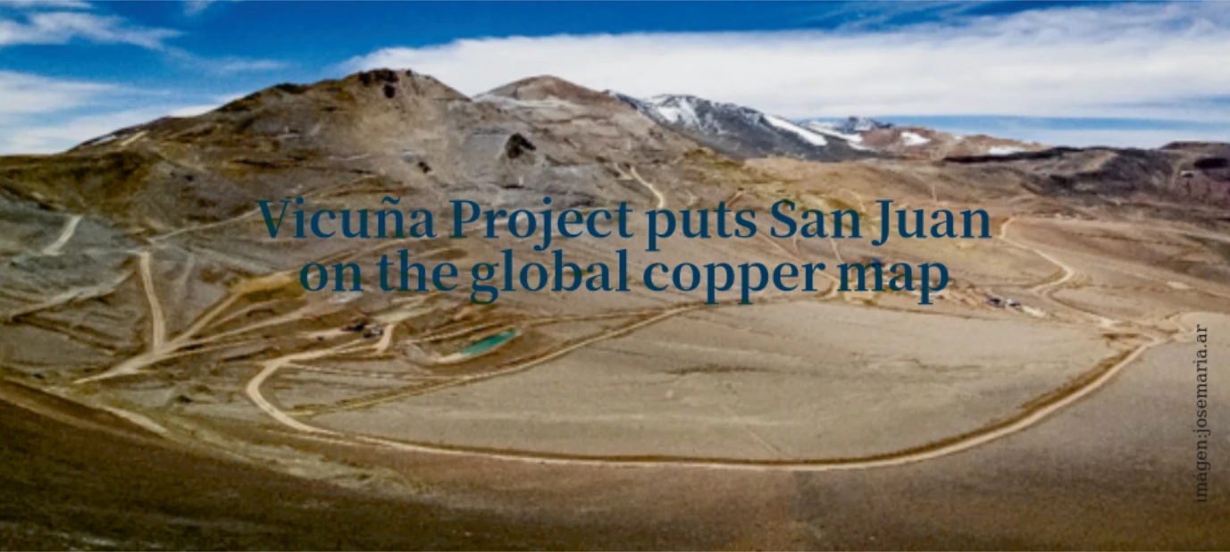 Vicuña Project San Juan